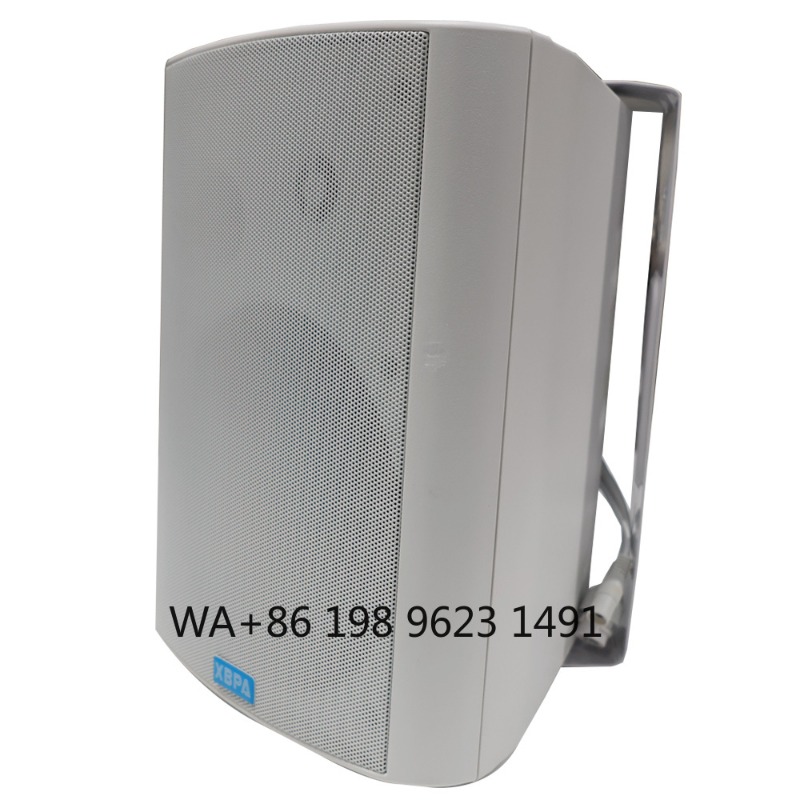 5.1 Draadloze WiFi Wand-/Plafo - Home Theater Speaker recensie en prijs