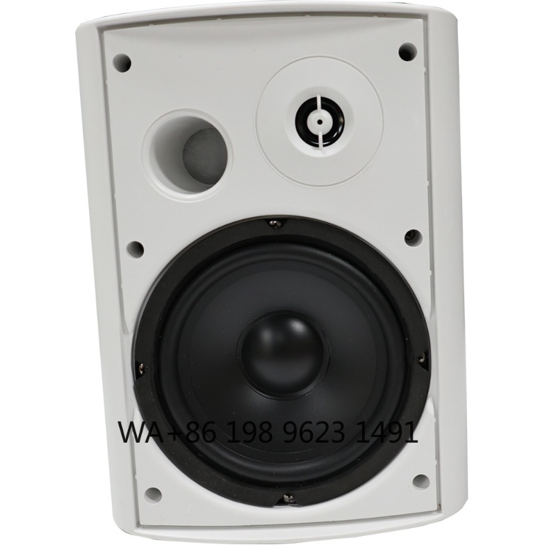5.1 Draadloze WiFi Wand-/Plafo - Home Theater Speaker recensie en prijs