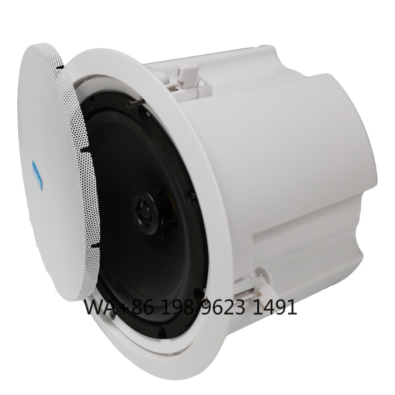5.1 Draadloze WiFi Wand-/Plafo - Home Theater Speaker recensie en prijs